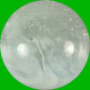 Master Marble/Glass Co. 2933