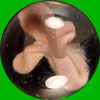 Unidentified Marbles 1002