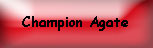 Champion Agate