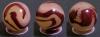 post-240-1232263468_thumb.jpg