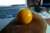 post-3081-130618892543_thumb.jpg