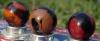 post-104-1187394109_thumb.jpg