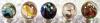 post-279-1223047599_thumb.jpg