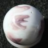 post-2583-0-21601200-1382392295_thumb.jp