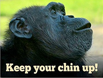 Keep you chin up.jpg